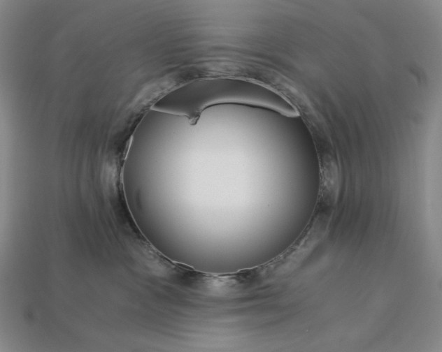 X0000112900333200909111530