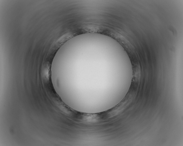 X0000112900334200909111530