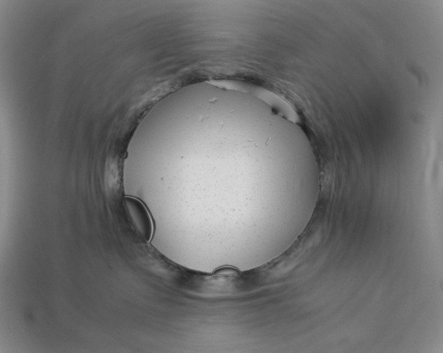 X0000112900335200909111530