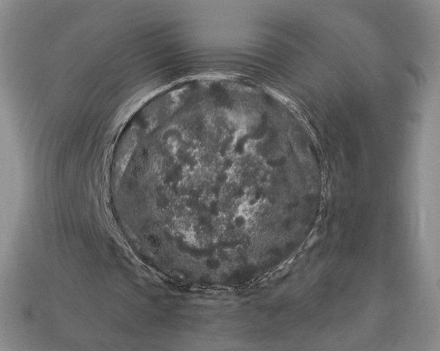 X0000112900337200909111529