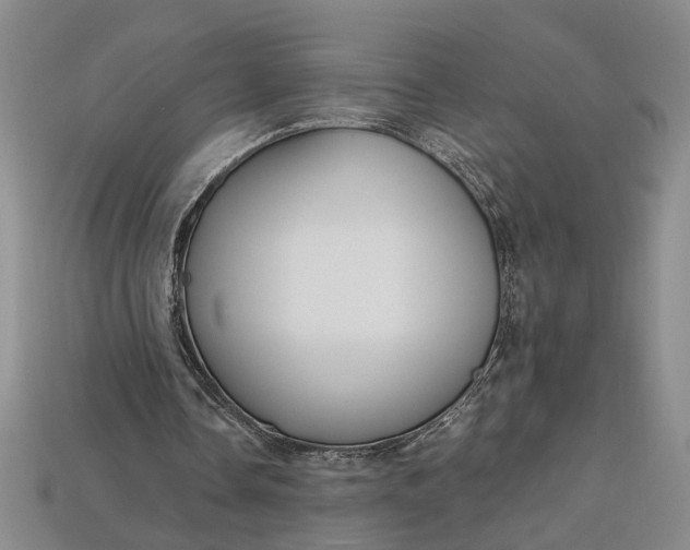 X0000112900338200909111529
