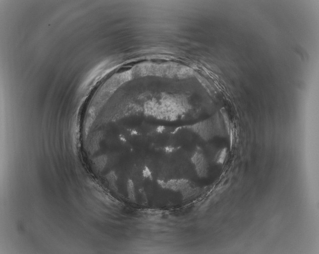 X0000112900339200909111529