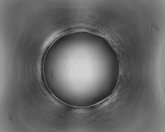 X0000112900341200909111529