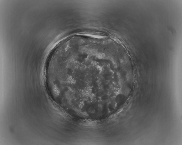X0000112900343200909111529