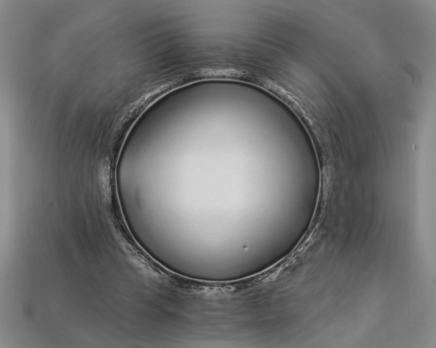 X0000112900345200909111529
