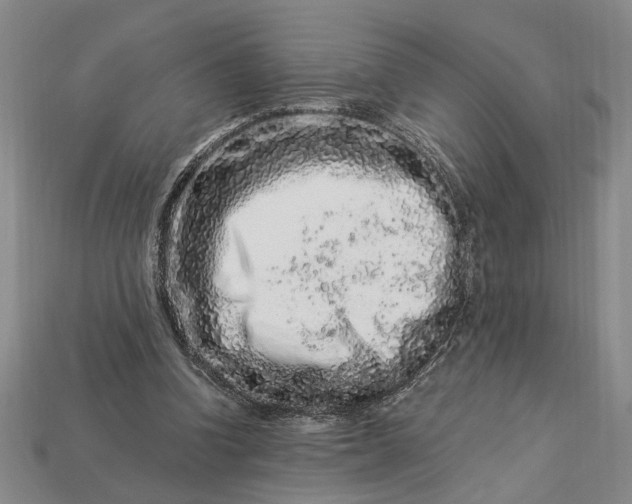 X0000112900346200909111529