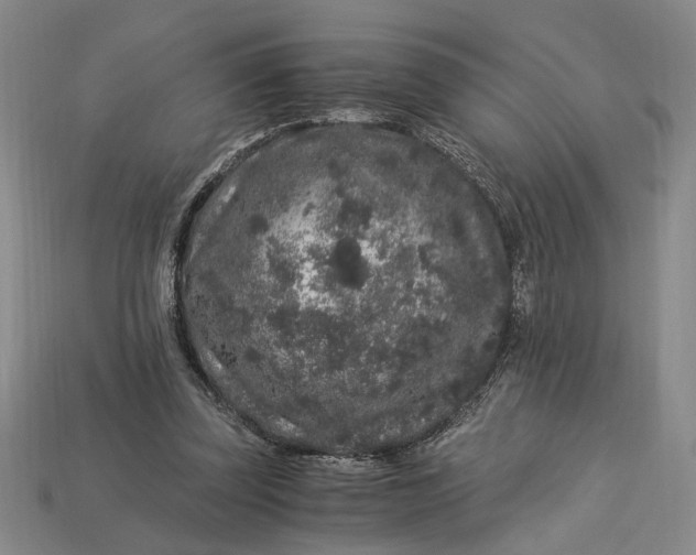 X0000112900347200909111529