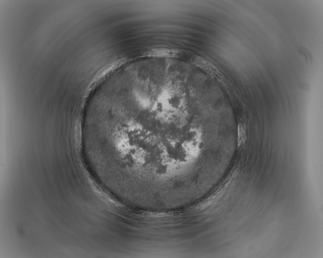 X0000112900349200909111529