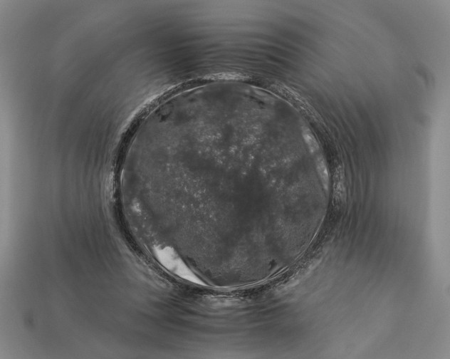 X0000112900351200909111529