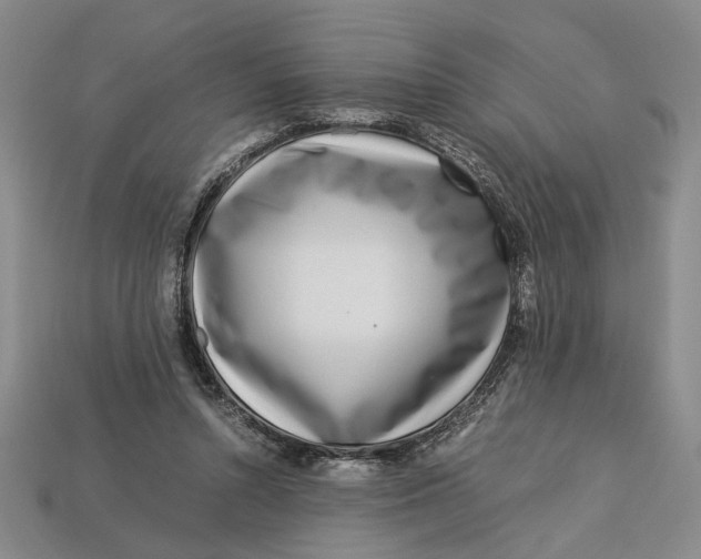 X0000112900352200909111529