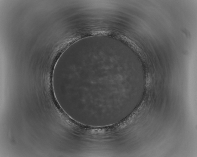 X0000112900353200909111529