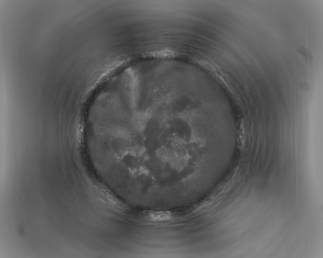 X0000112900355200909111529