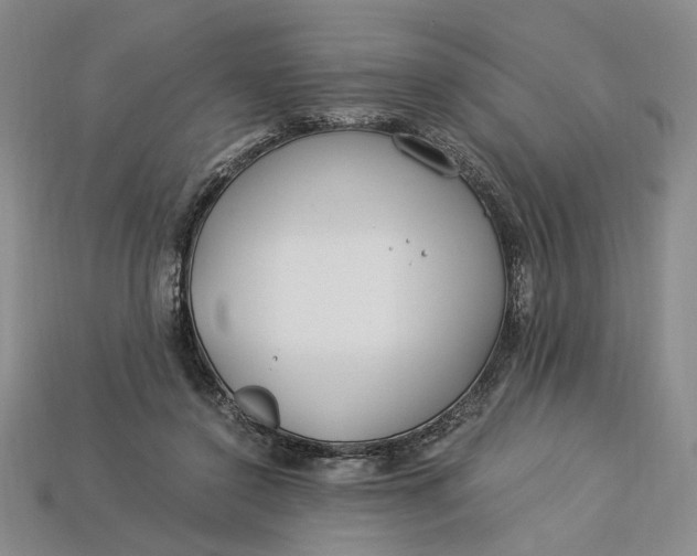 X0000112900356200909111529