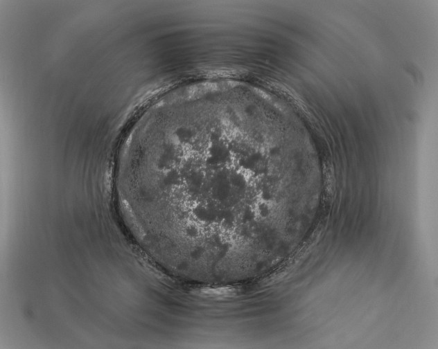 X0000112900357200909111530