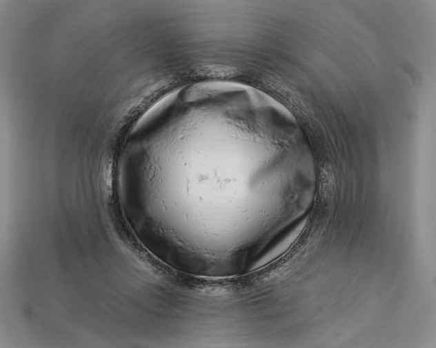 X0000112900358200909111530