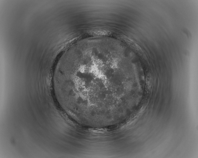 X0000112900359200909111530