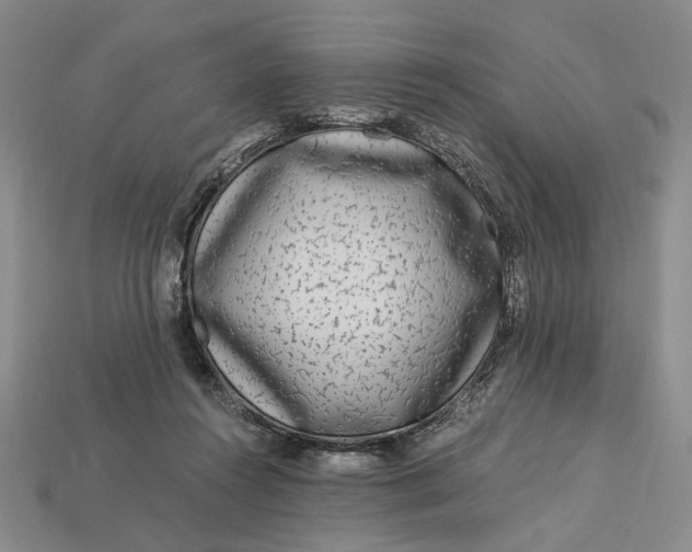 X0000112900360200909111530