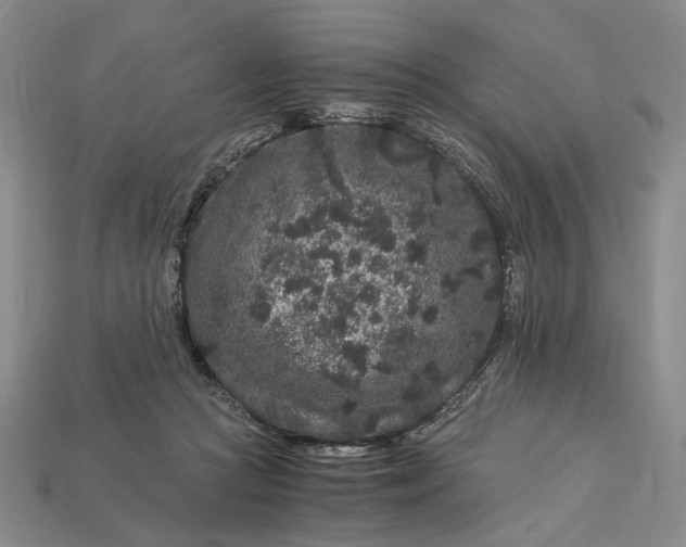X0000112900361200909111530