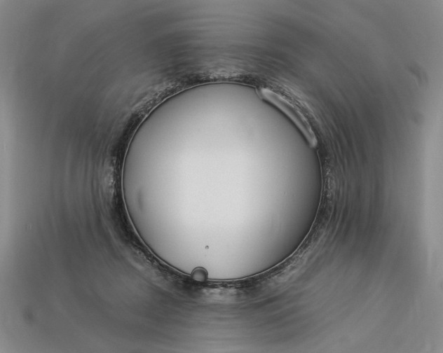 X0000112900362200909111530