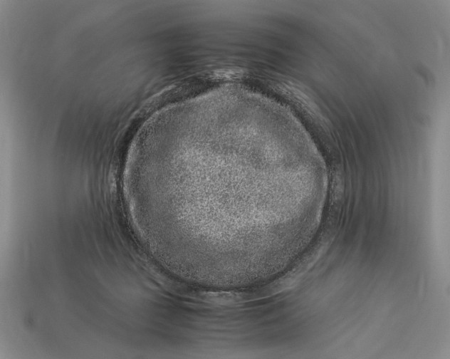 X0000112900363200909111530