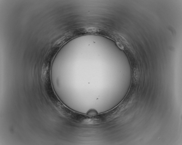 X0000112900364200909111530