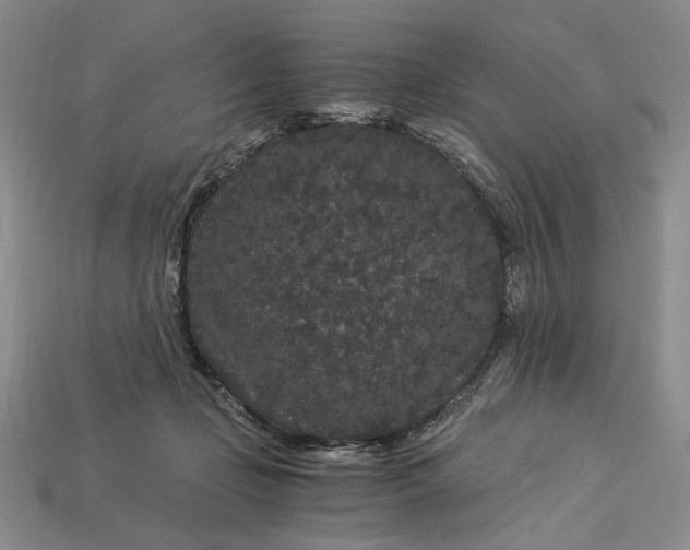 X0000112900365200909111530