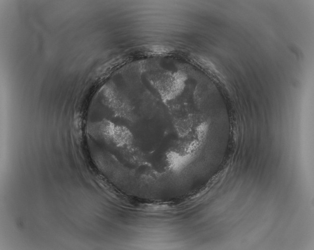 X0000112900366200909111530