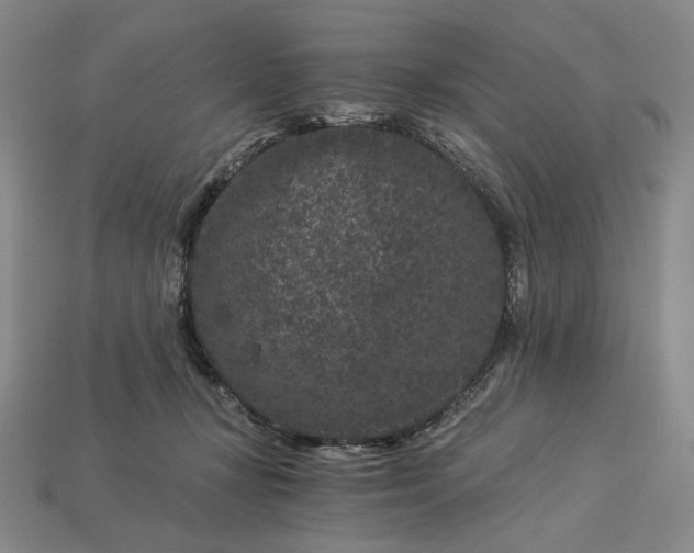 X0000112900367200909111530
