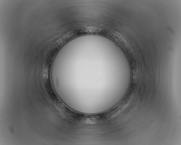 X0000112900368200909111530