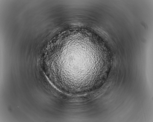 X0000112900369200909111530
