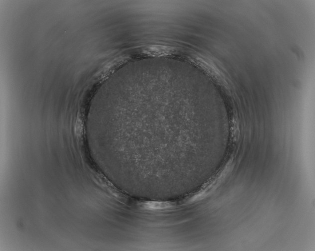 X0000112900371200909111530