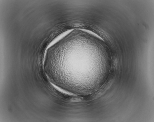 X0000112900373200909111530