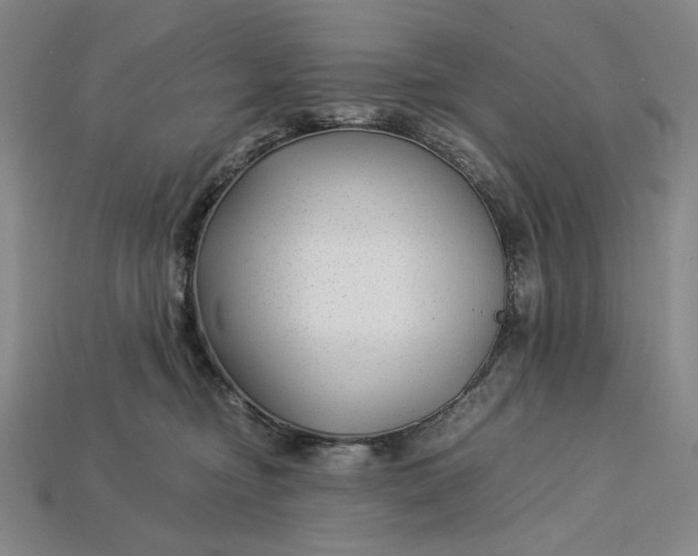 X0000112900374200909111530