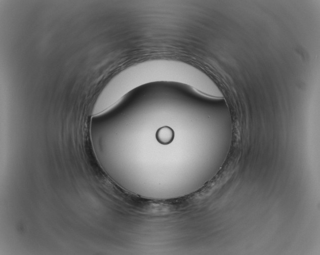 X0000112900376200909111530