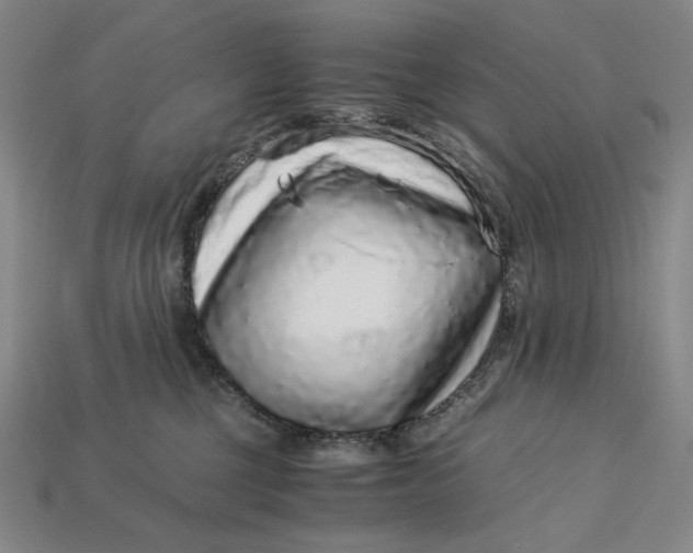 X0000112900377200909111530