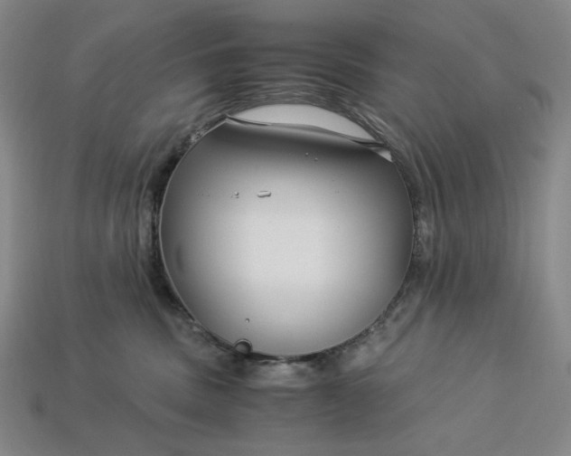 X0000112900379200909111530