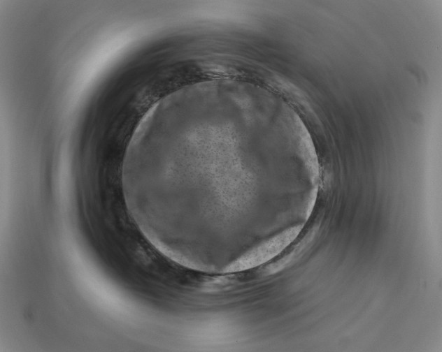 X0000112900382200909111530