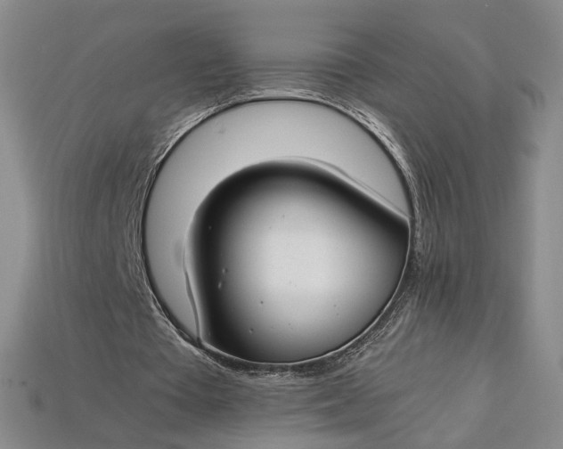 X0000112900385200909111529