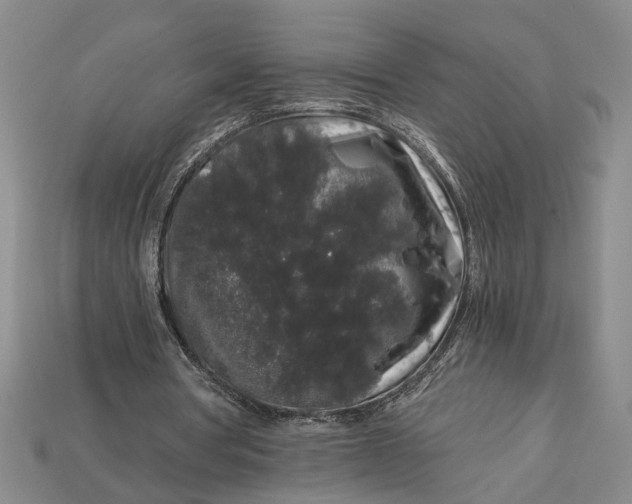 X0000112900386200909111529