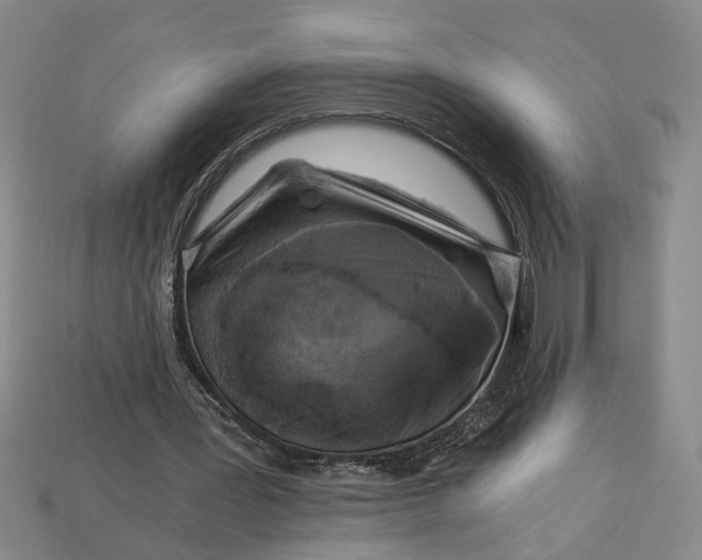 X0000112900387200909111529