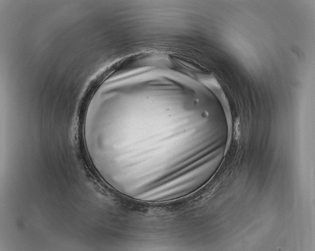 X0000112900388200909111529