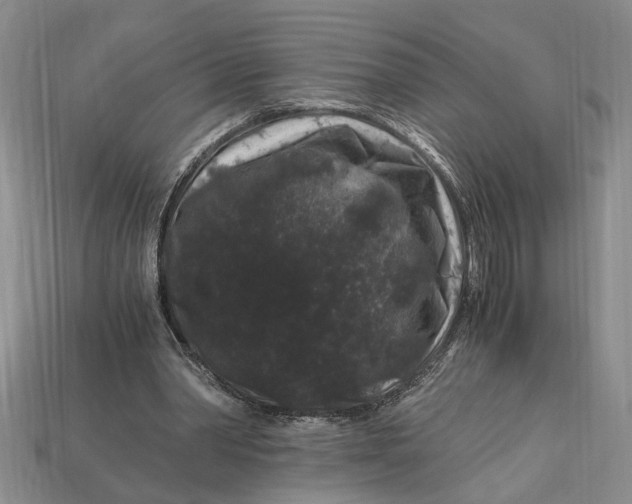 X0000112900390200909111529