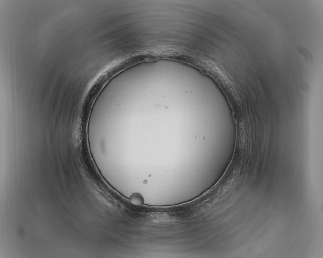 X0000112900392200909111529