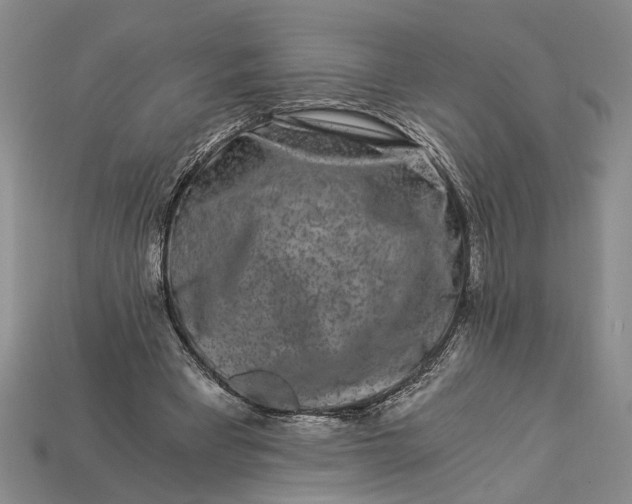X0000112900393200909111529