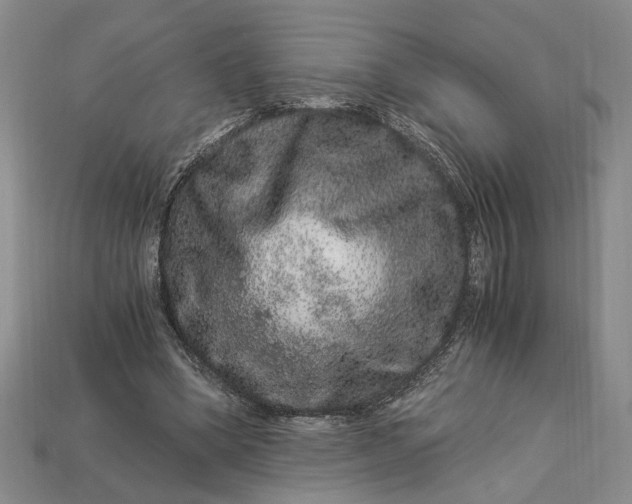 X0000112900394200909111529