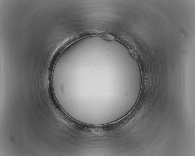 X0000112900395200909111529