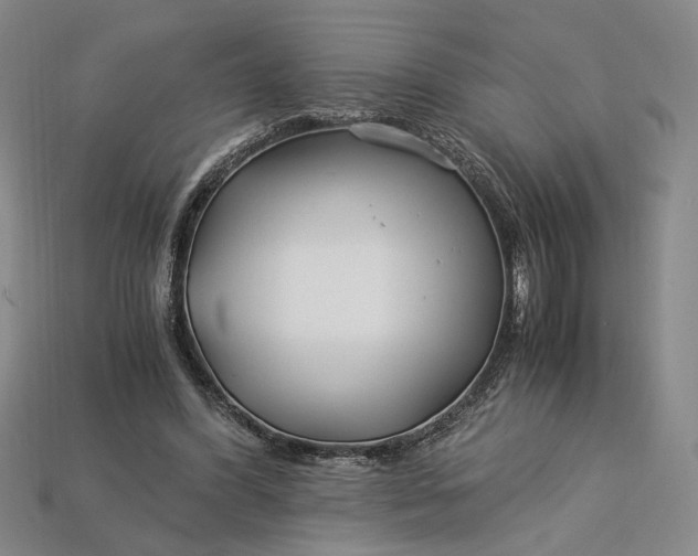 X0000112900396200909111529