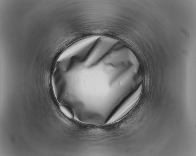 X0000112900397200909111529