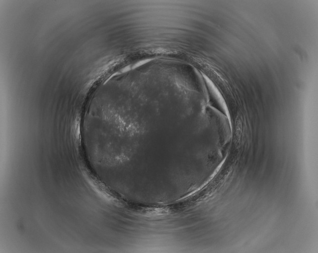 X0000112900398200909111529