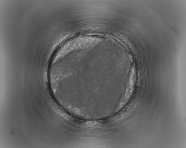 X0000112900399200909111529
